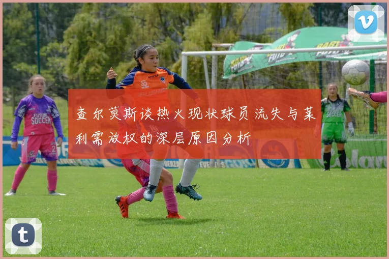 查尔莫斯谈热火现状球员流失与莱利需放权的深层原因分析